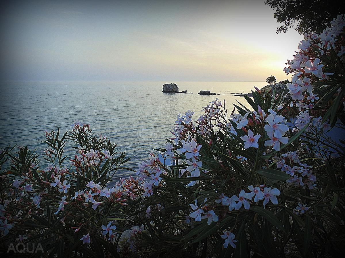 Aqua Luxury Villas Nea Poteidaia Dış mekan fotoğraf